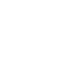 Express Shipping