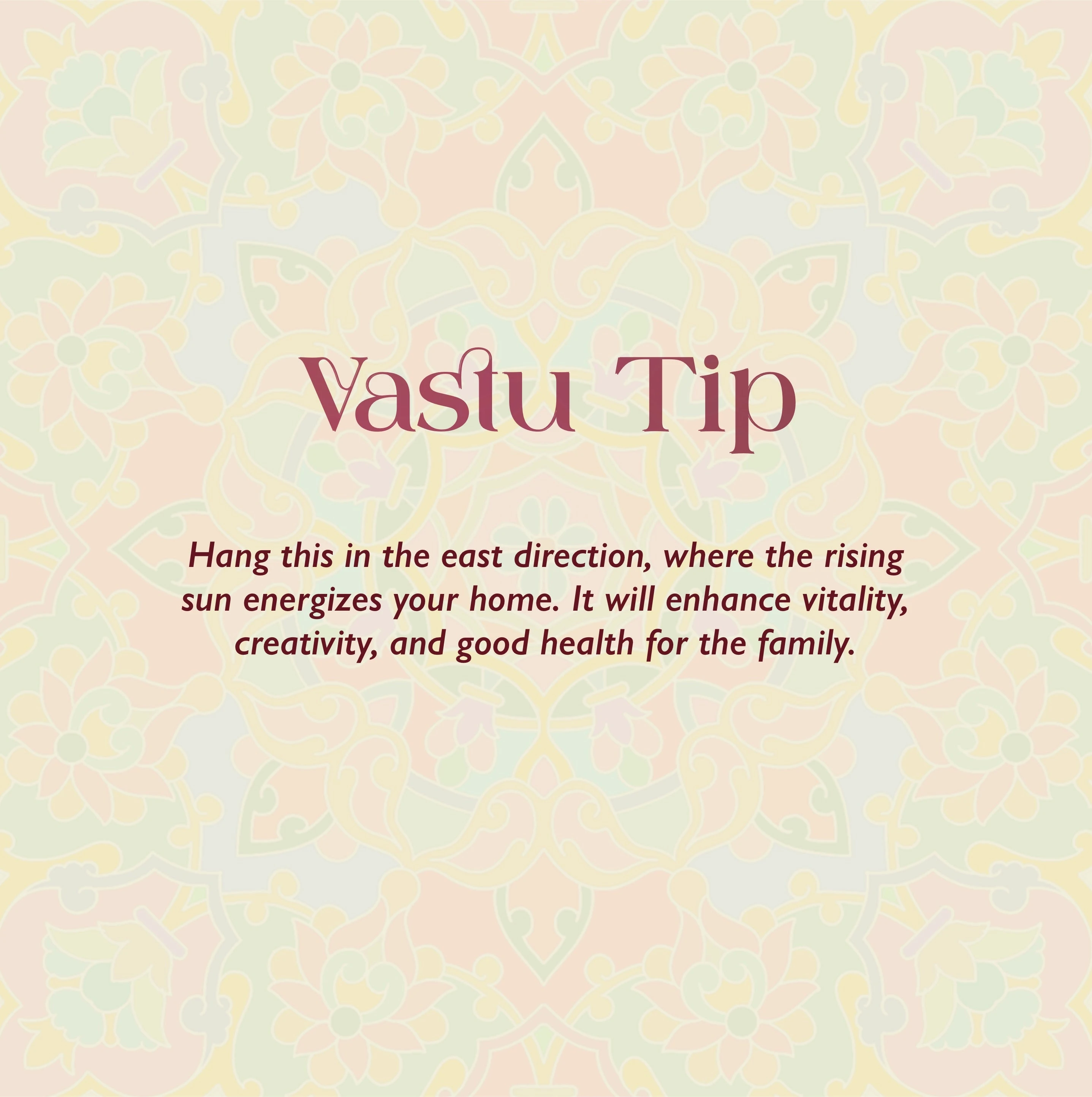 Ayush Kalra Designs Flora_6 | Indian product Online Shopping Store