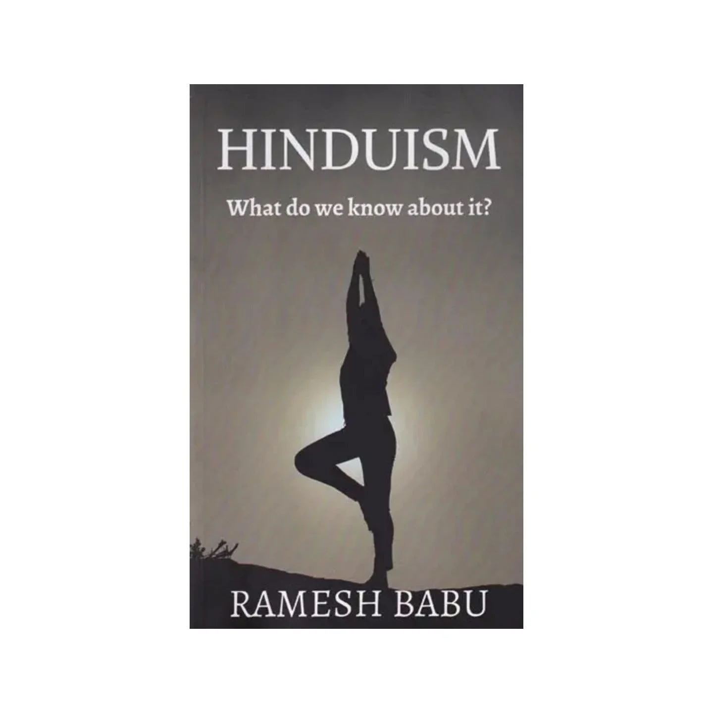 Hinduism What Do We Know About It | Indian product Online Shopping Store