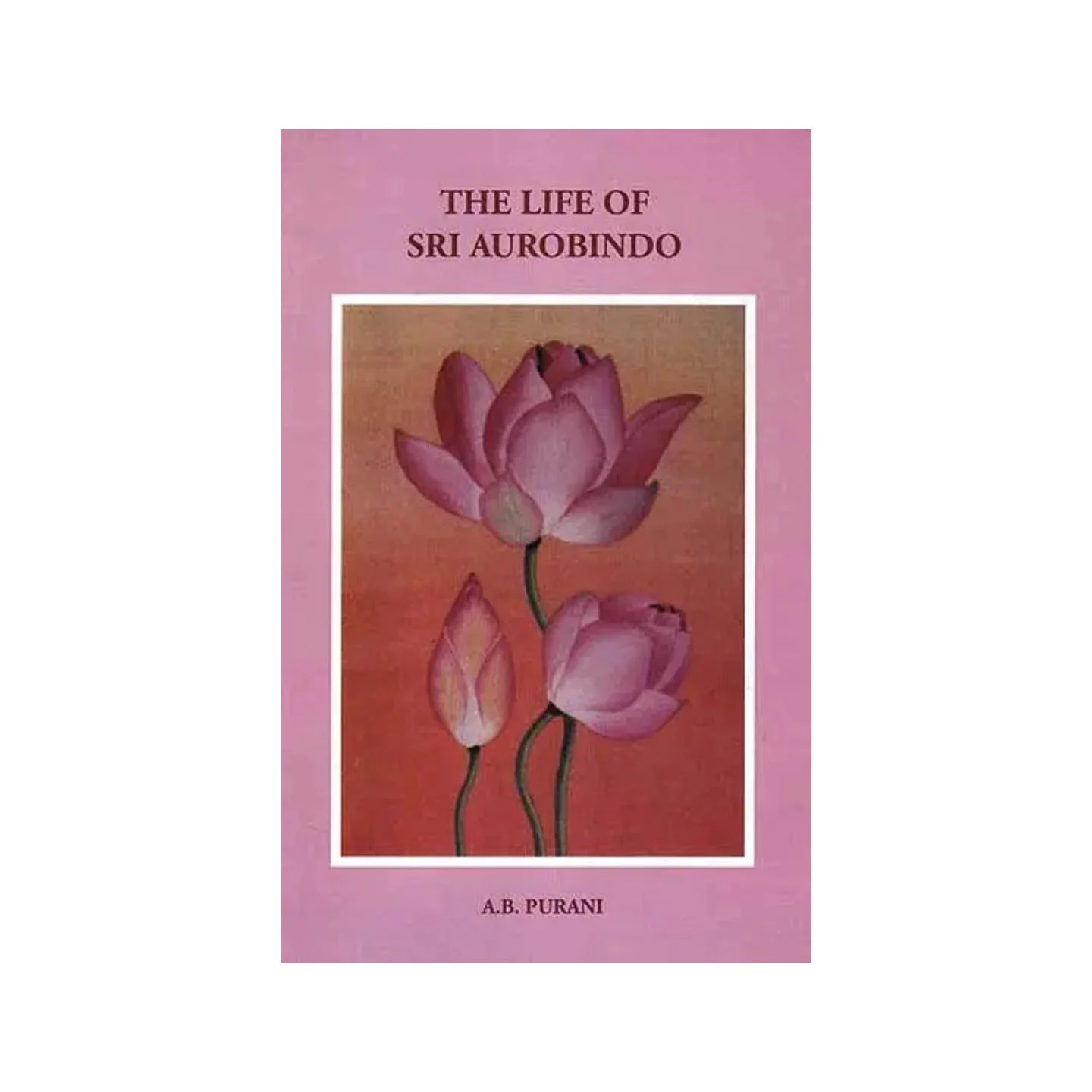 The Life Of Sri Aurobindo | Indian product Online Shopping Store