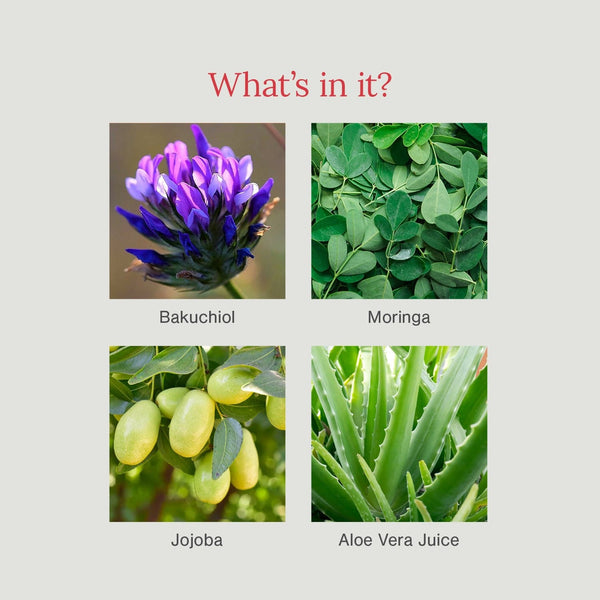 Product image 3 | Indian product Online Shopping Store