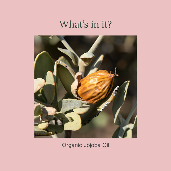 Product image 4 | Indian product Online Shopping Store