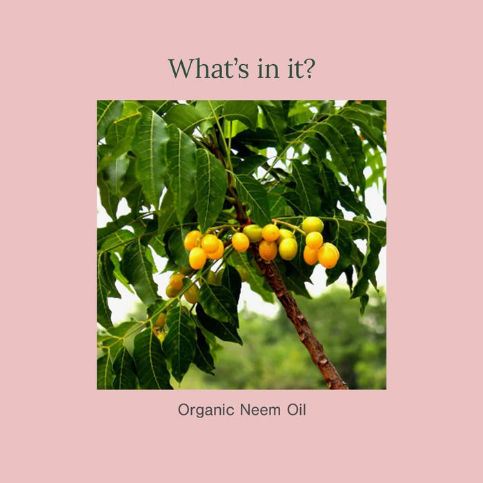 Product image 7 | Indian product Online Shopping Store