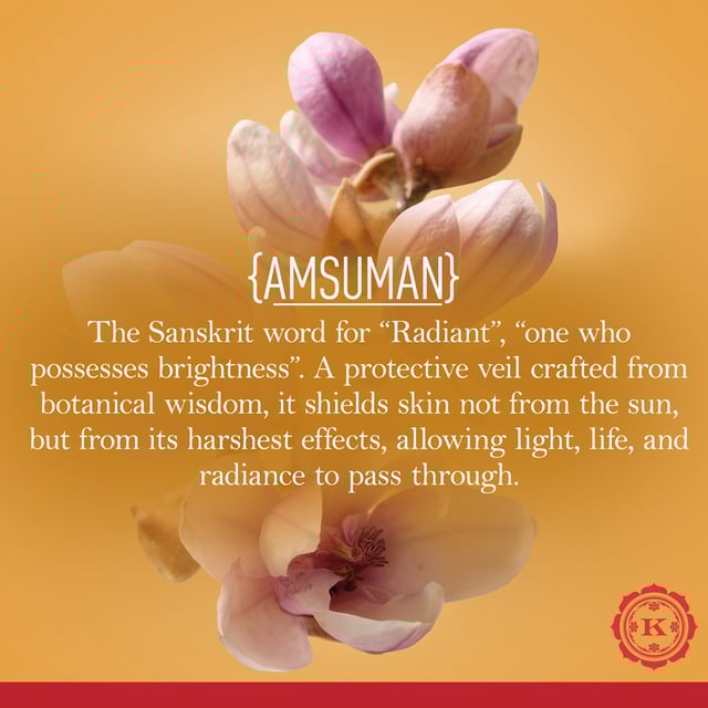 Product image 7 | Indian product Online Shopping Store