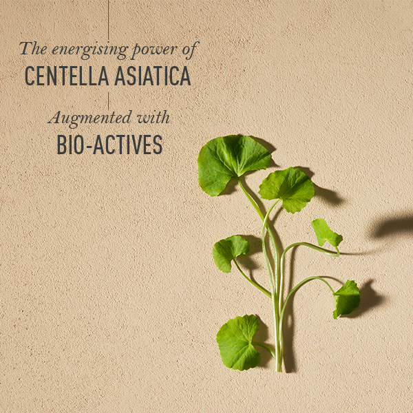 Product image 4 | Indian product Online Shopping Store