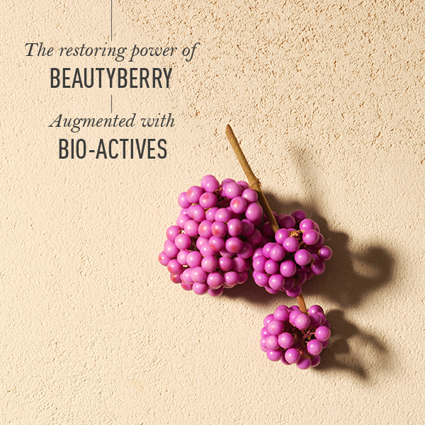 Product image 4 | Indian product Online Shopping Store