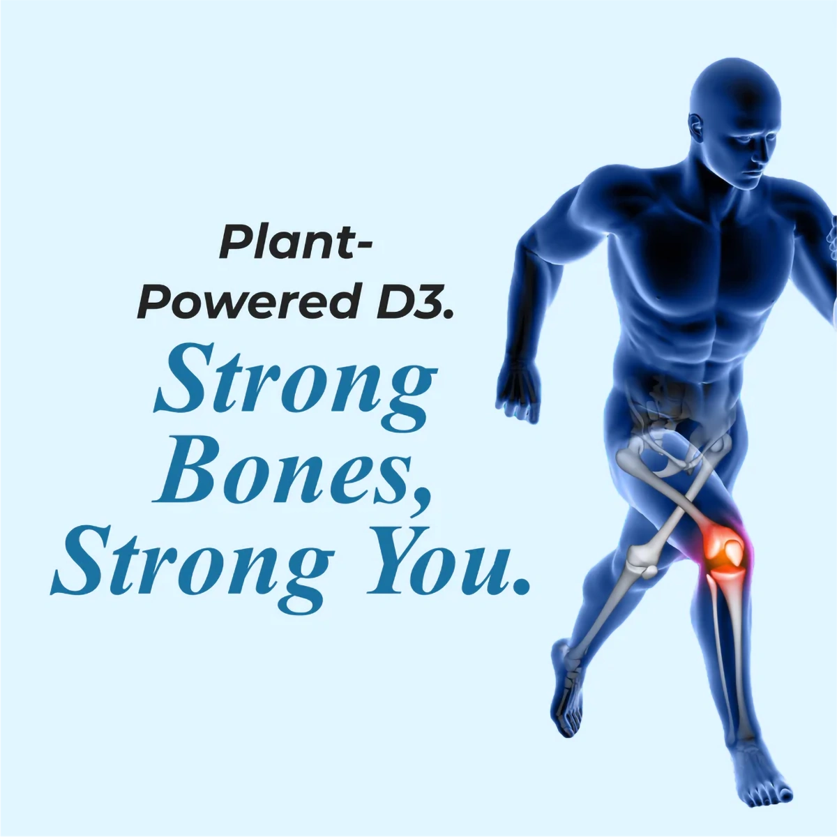 Product image 6 | Indian product Online Shopping Store